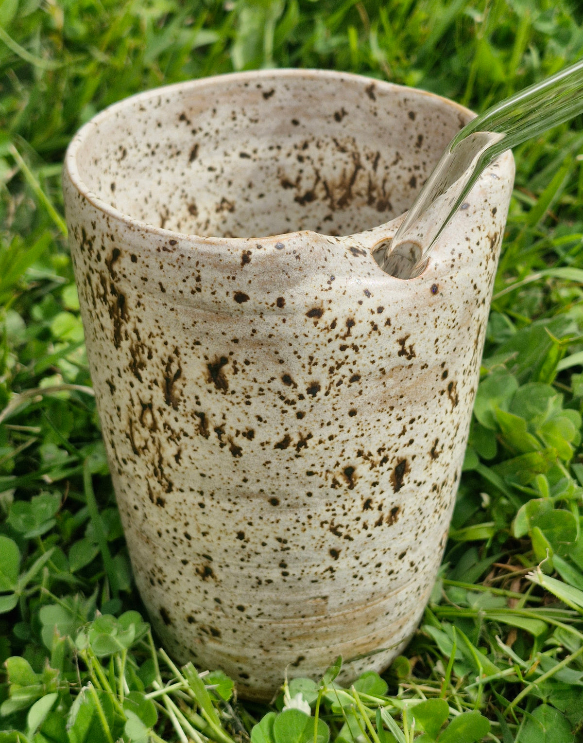 Smoothie Cup - Speckle