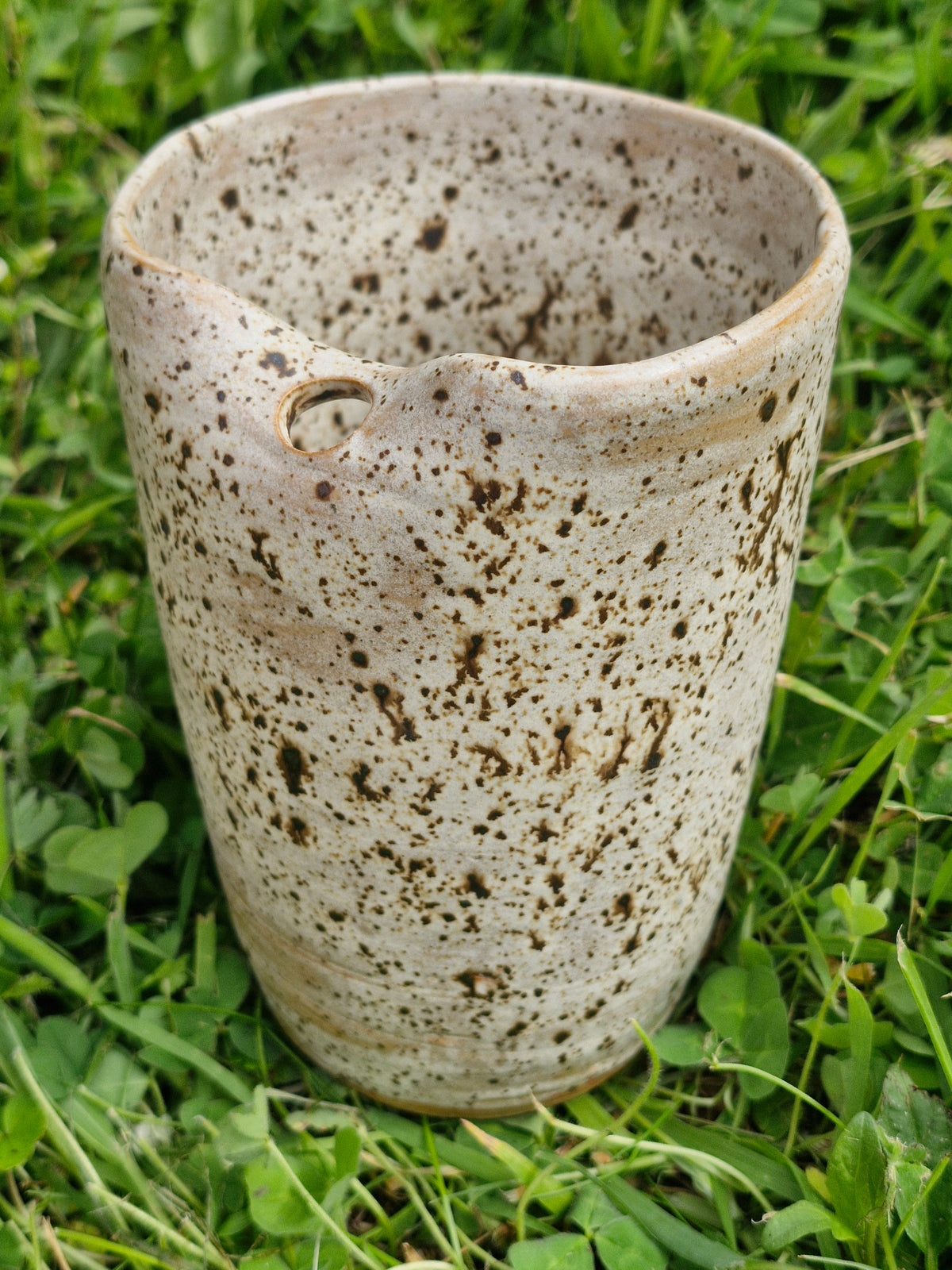 Smoothie Cup - Speckle