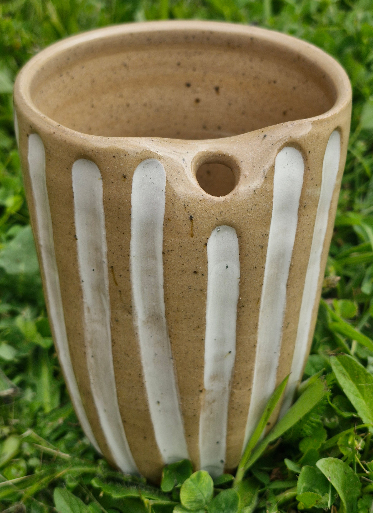 Smoothie Cup - Stripes
